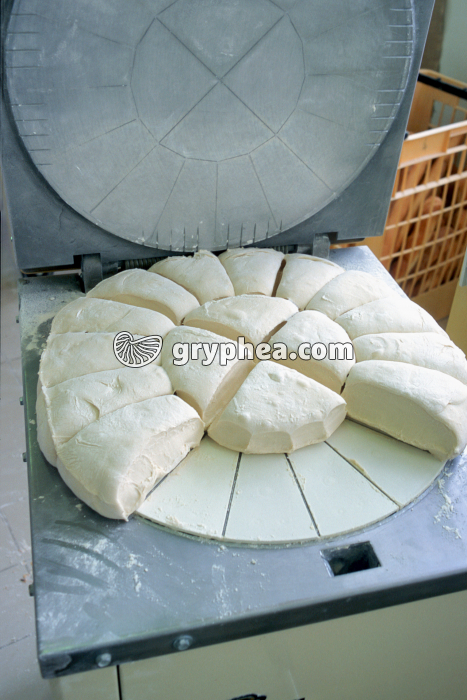 Fabrication du pain - Diviseuse et pâtons avant mise en forme des pains - gryphea.com